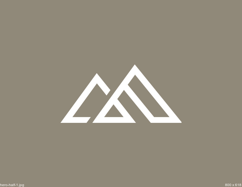 Brand book & icon systems