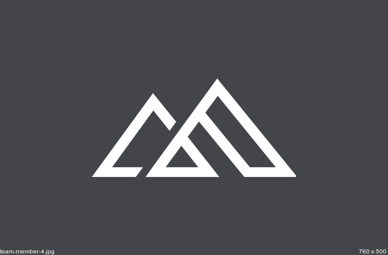 Web Designer
